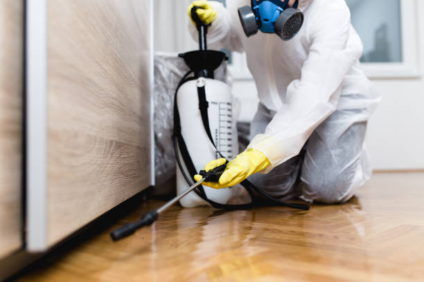 Best Termite Control Services  in Wurtsboro, NY