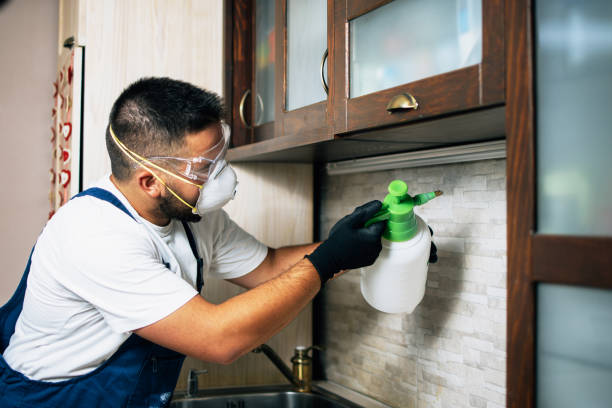 Best Pest Removal Services  in Wurtsboro, NY