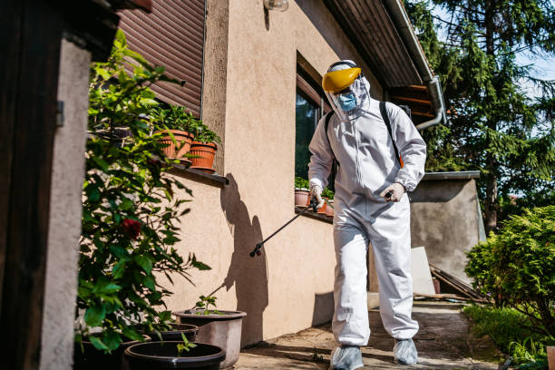 Best Flea Control Services  in Wurtsboro, NY