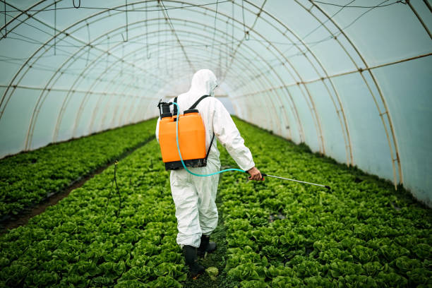 Best Pest Prevention Services  in Wurtsboro, NY